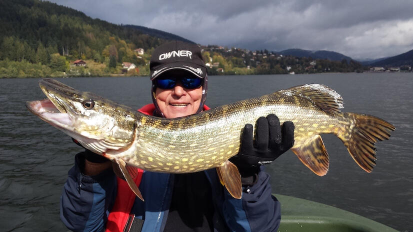 Brochet